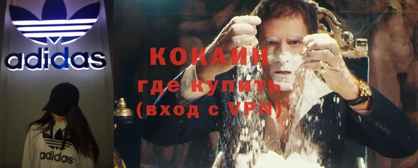 прущие грибы Абинск
