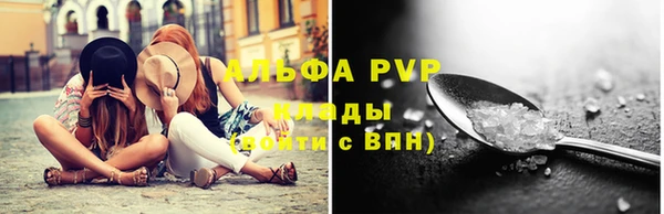 прущие грибы Абинск