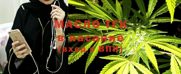 прущие грибы Абинск