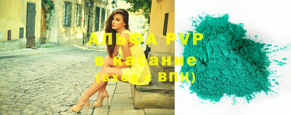 прущие грибы Абинск