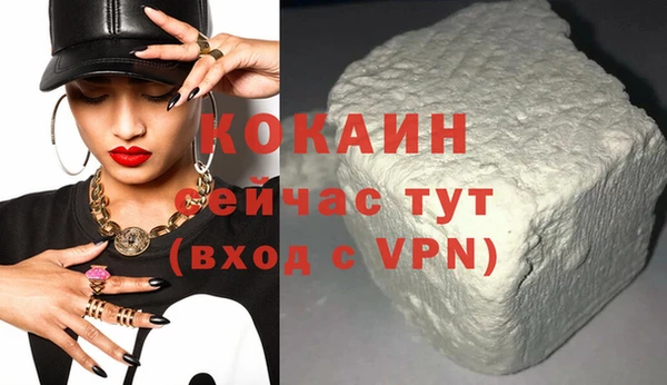прущие грибы Абинск