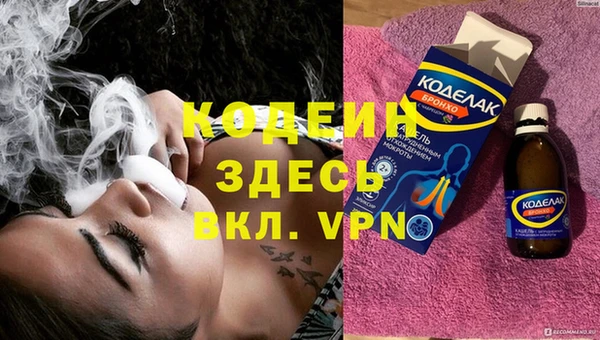 прущие грибы Абинск