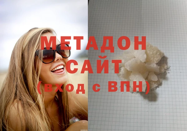 прущие грибы Абинск